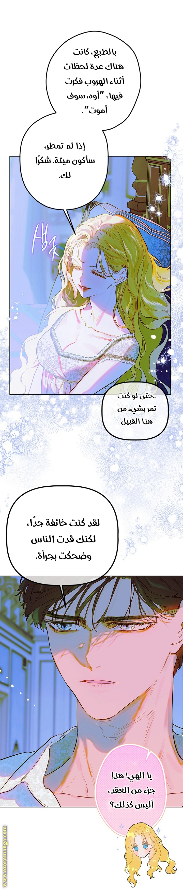 الصفحة 13