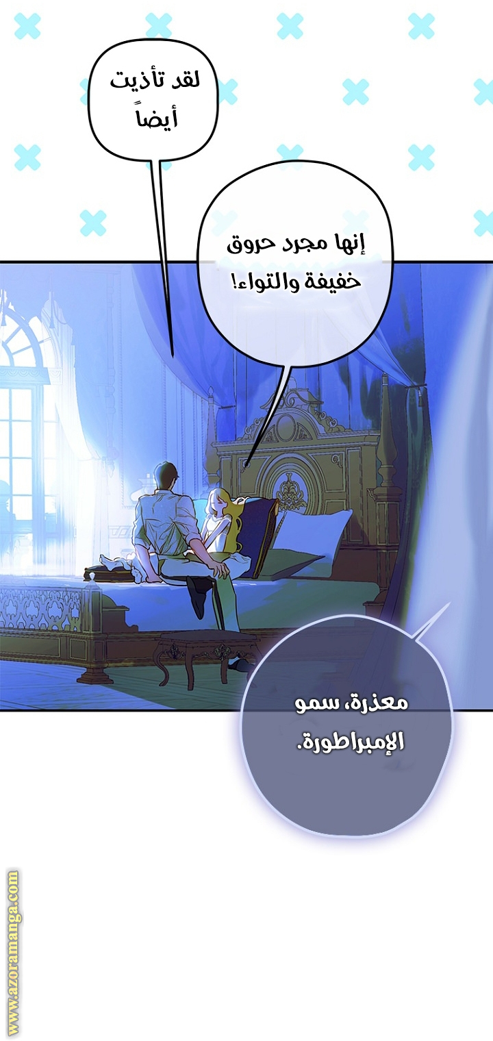 الصفحة 17