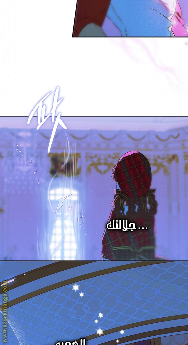 الصفحة 48