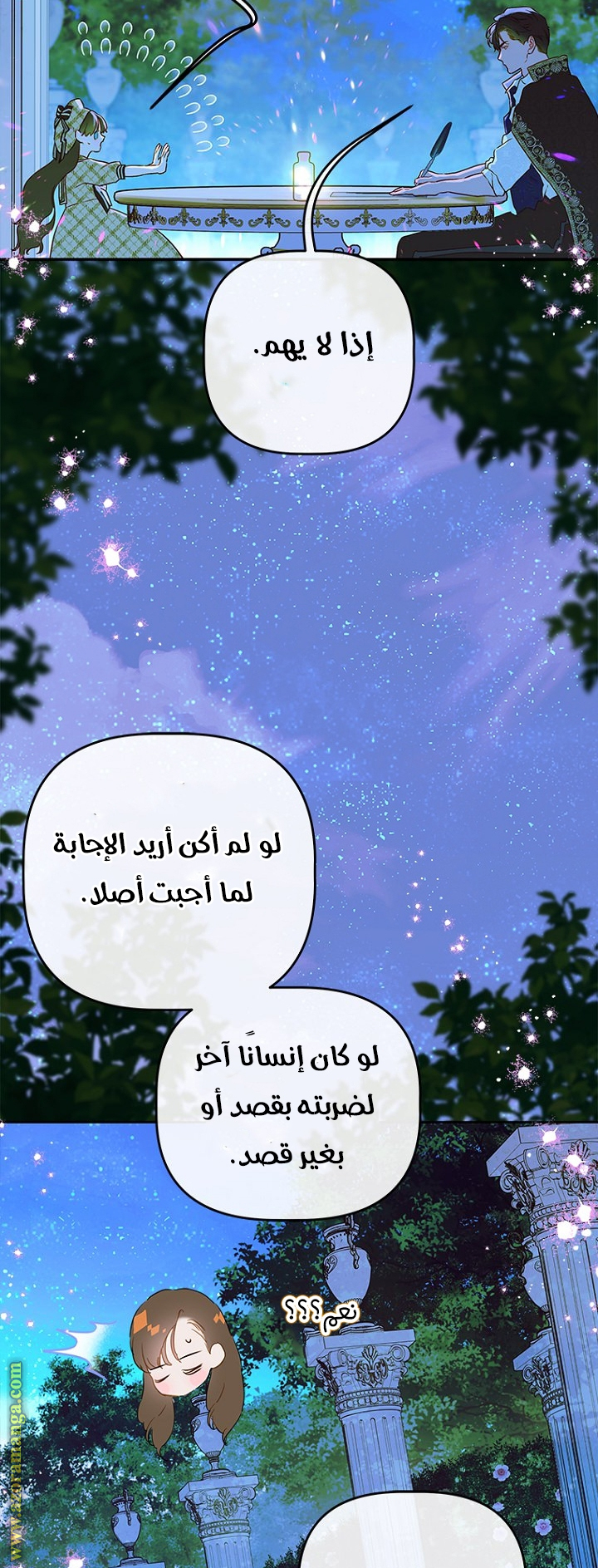 الصفحة 29