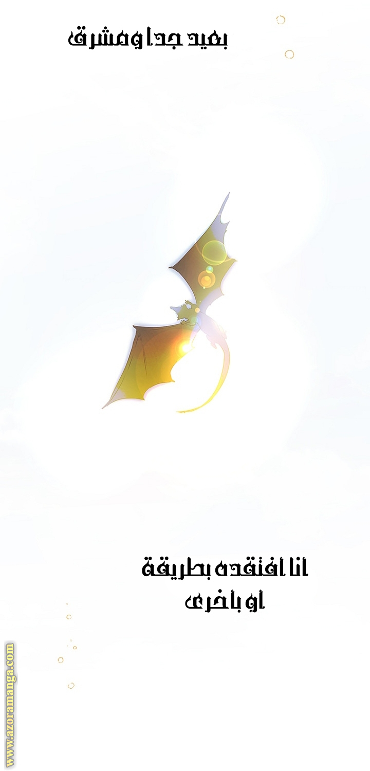 الصفحة 2