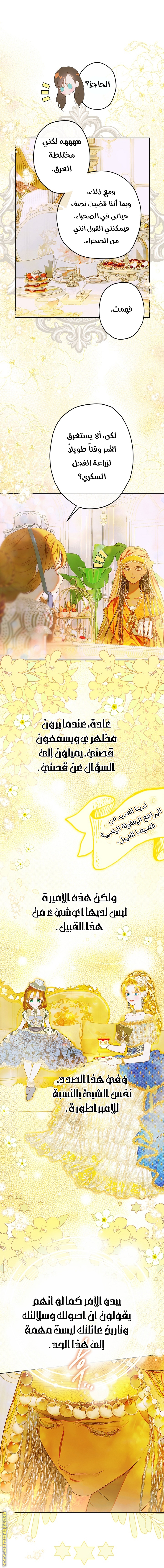 الصفحة 8