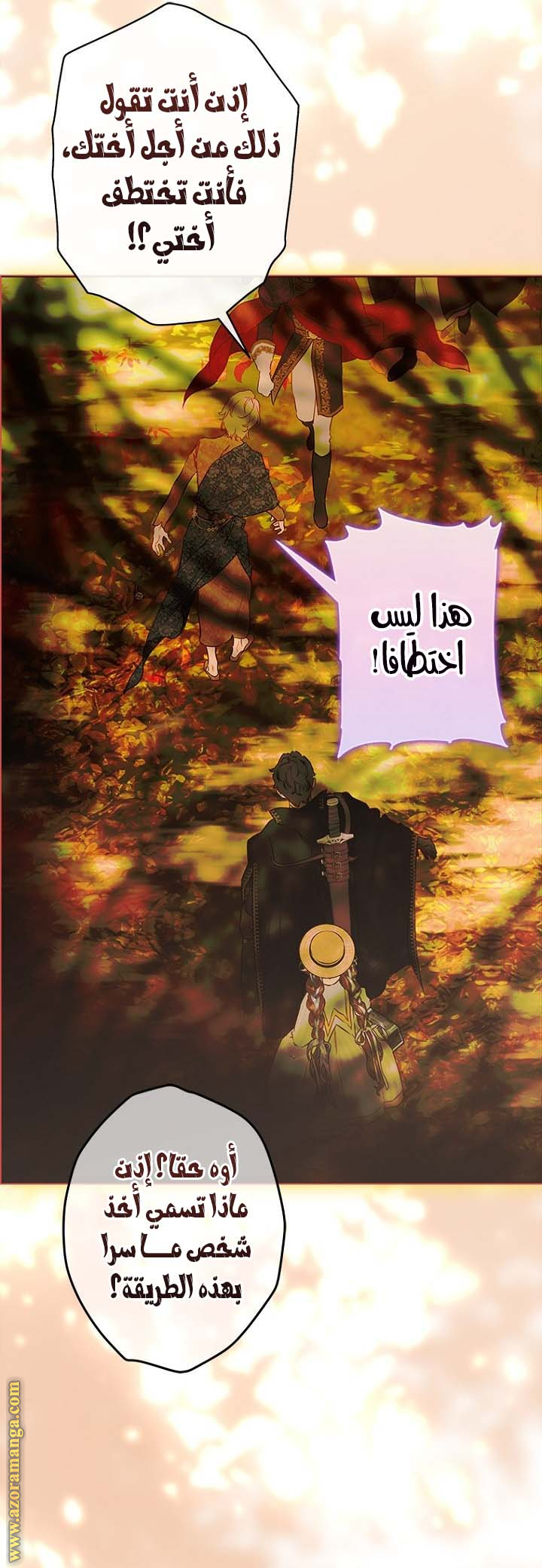 الصفحة 17
