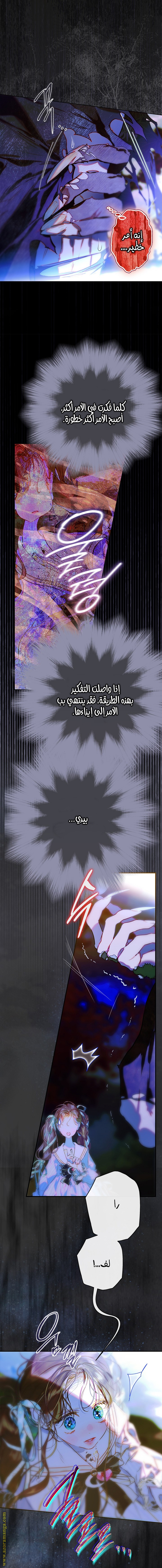 الصفحة 17