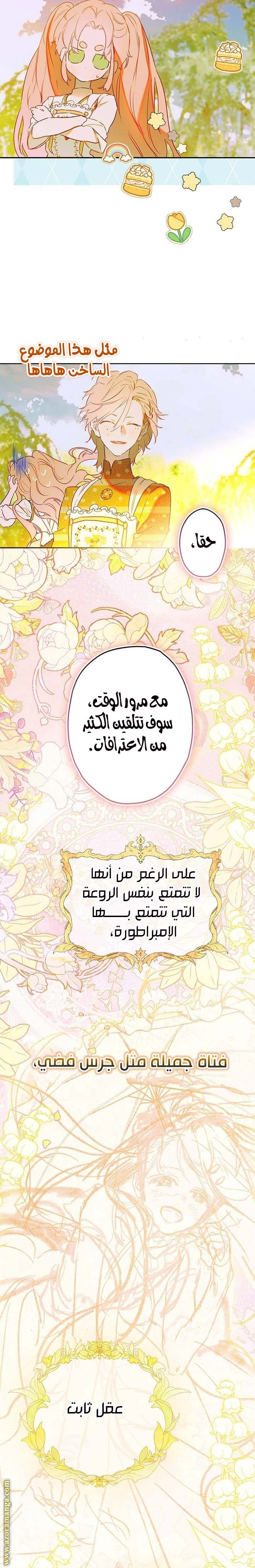 الصفحة 17