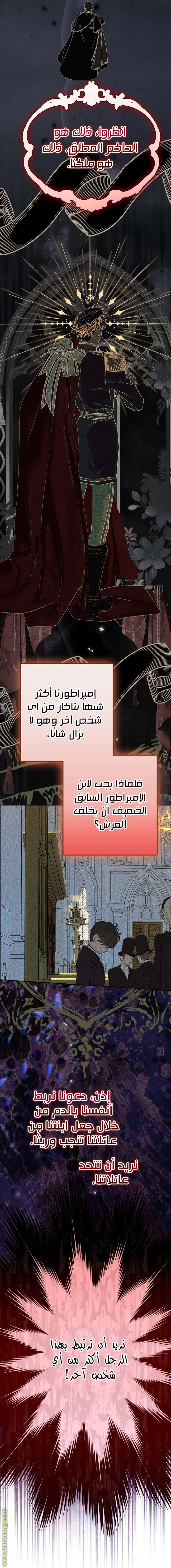الصفحة 17