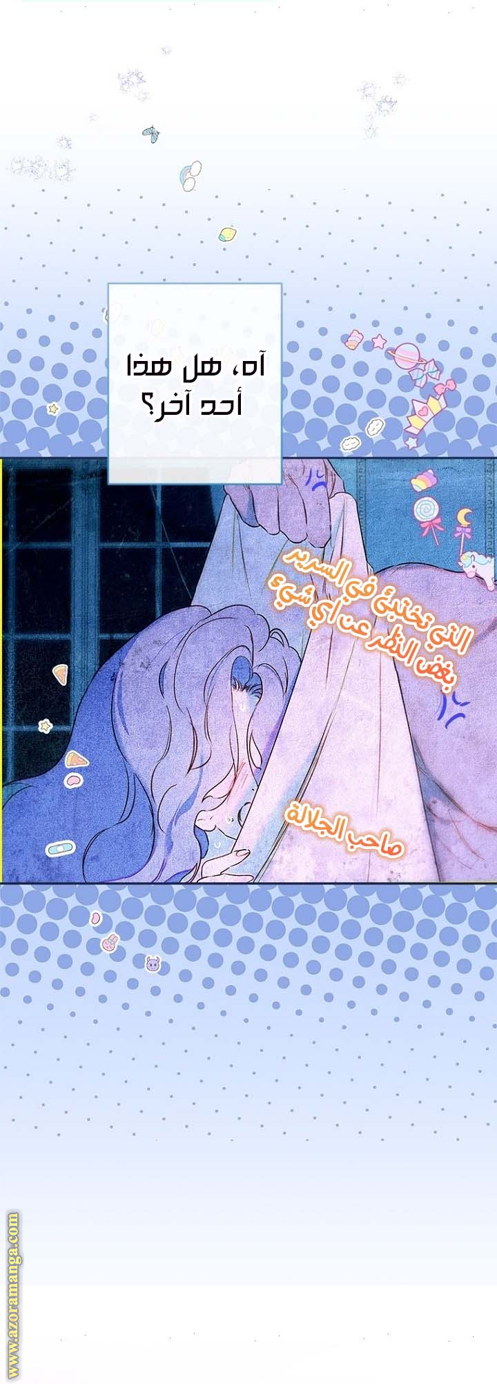 الصفحة 29