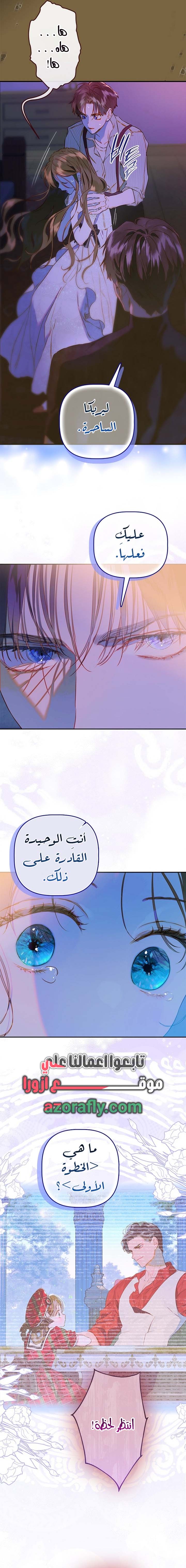الصفحة 13