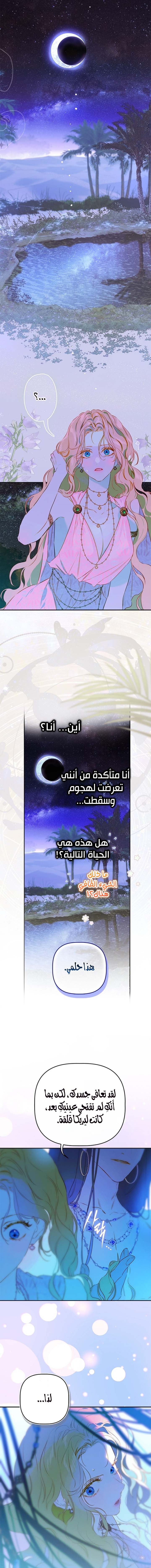 الصفحة 18