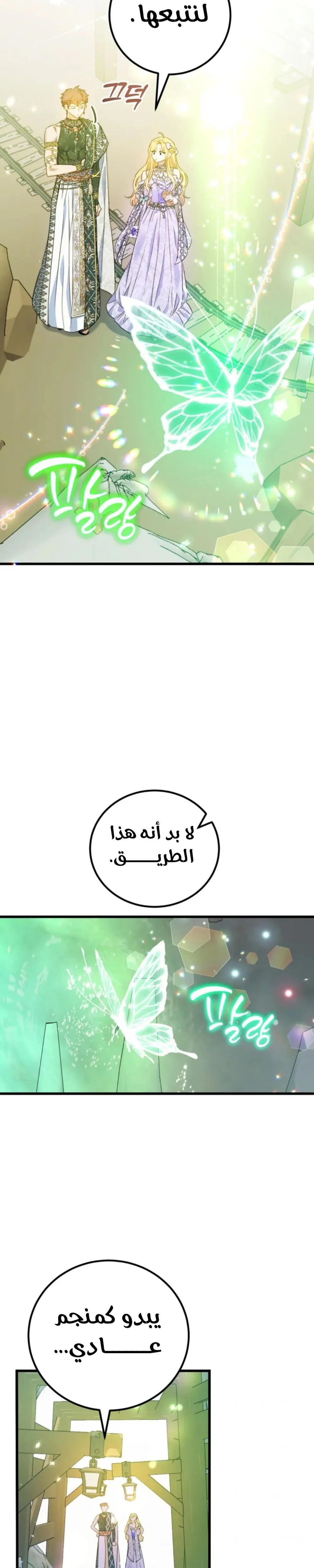 الصفحة 26