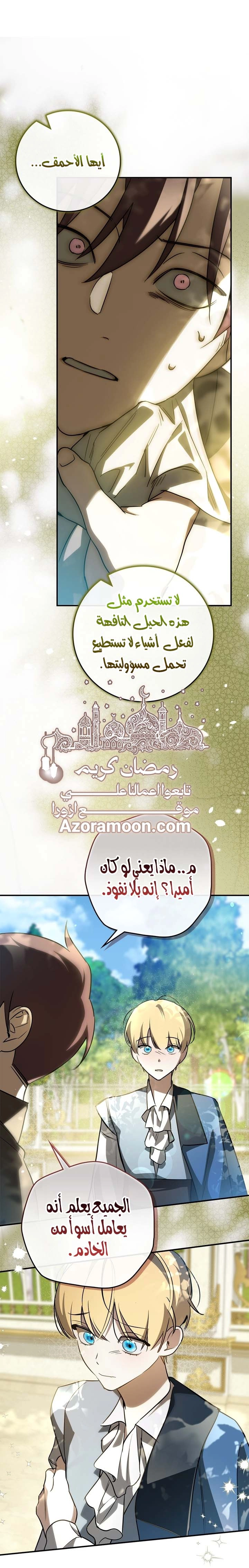 الصفحة 17