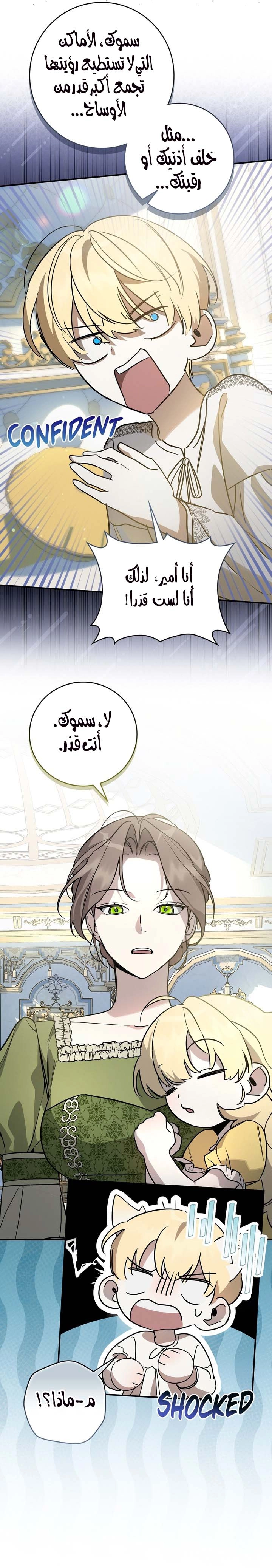 الصفحة 13