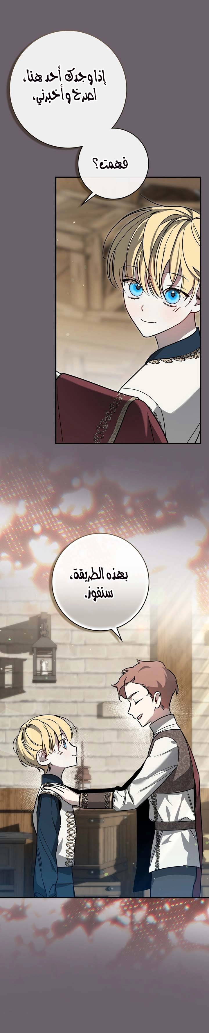 الصفحة 17