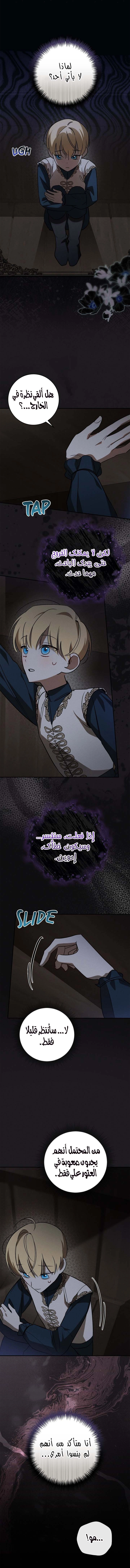 الصفحة 19
