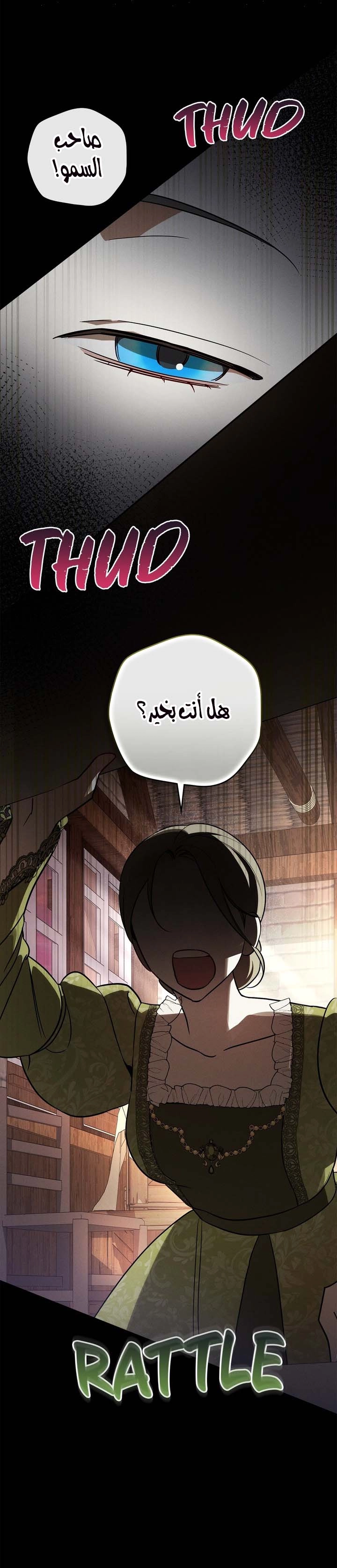 الصفحة 20