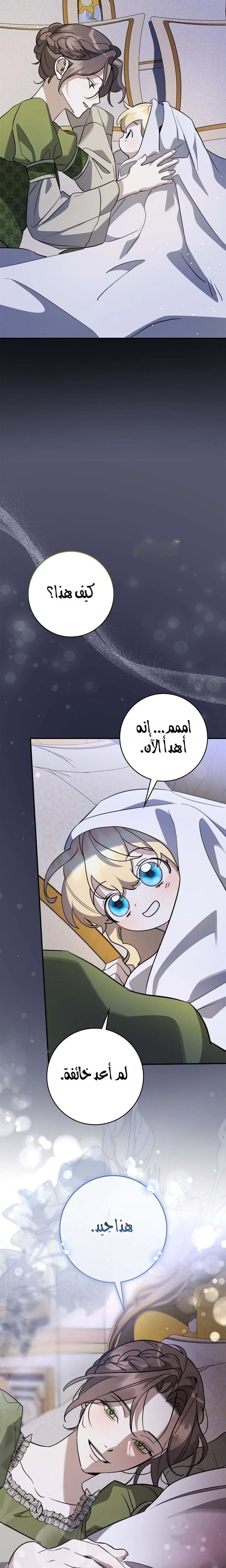 الصفحة 19