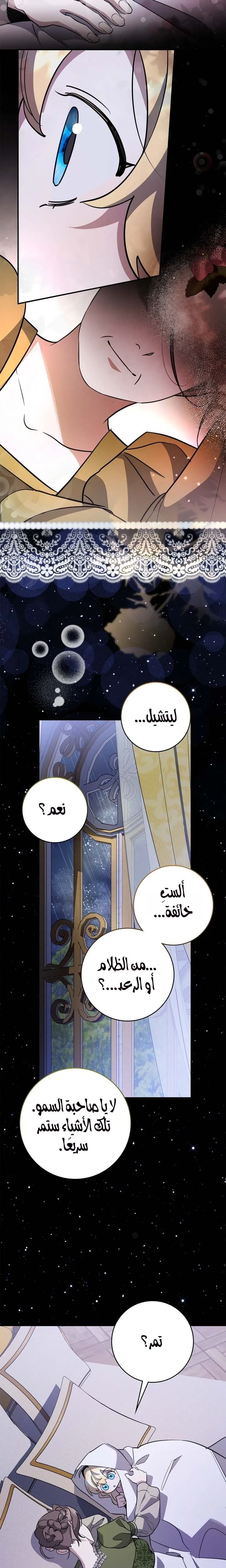 الصفحة 20