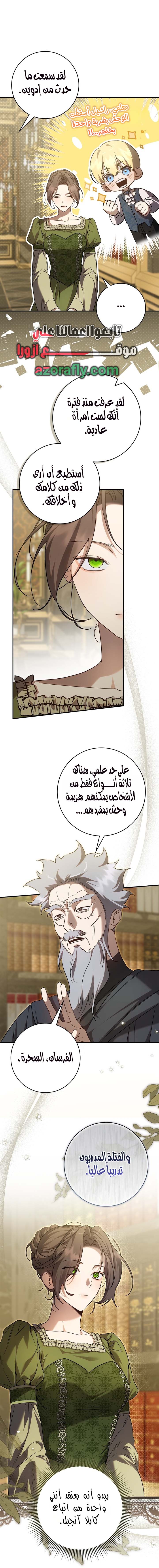 الصفحة 17