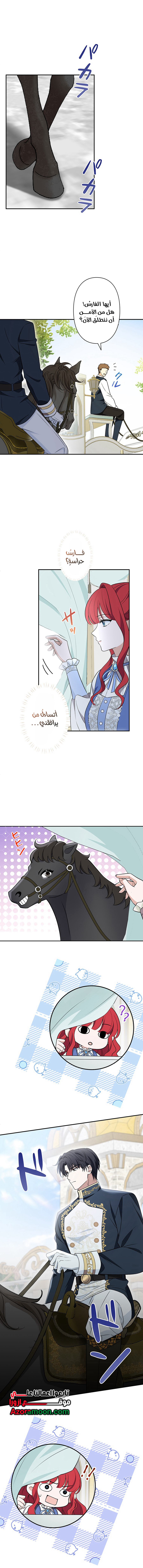 الصفحة 11