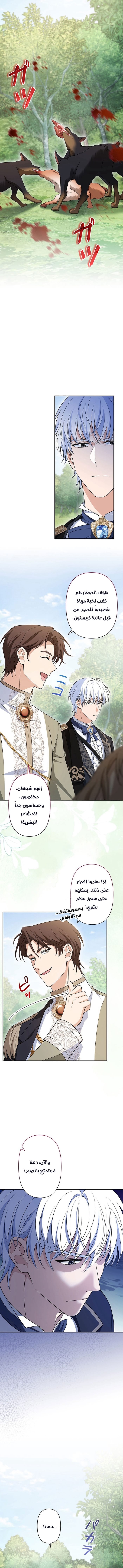 الصفحة 3