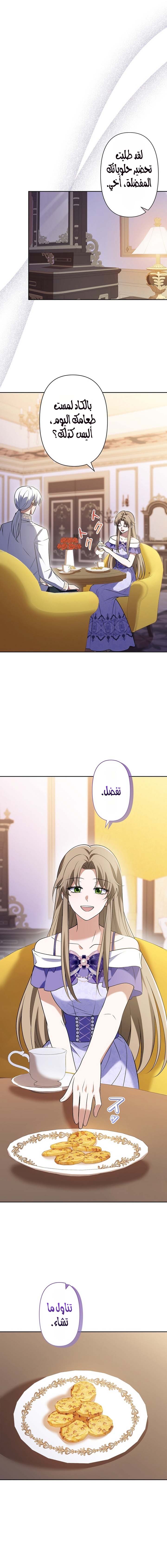الصفحة 3