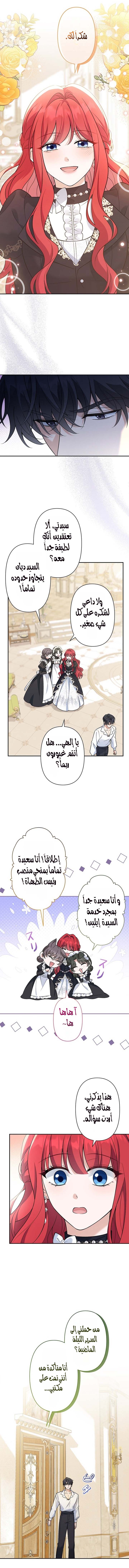 الصفحة 11