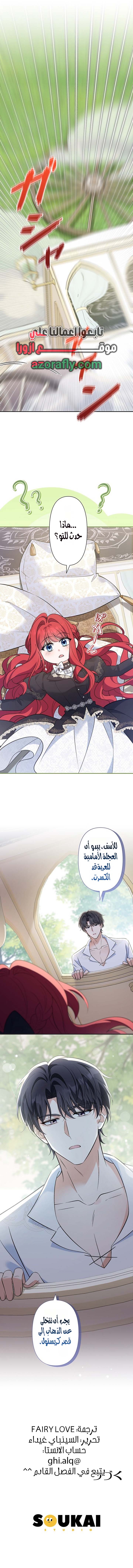الصفحة 14