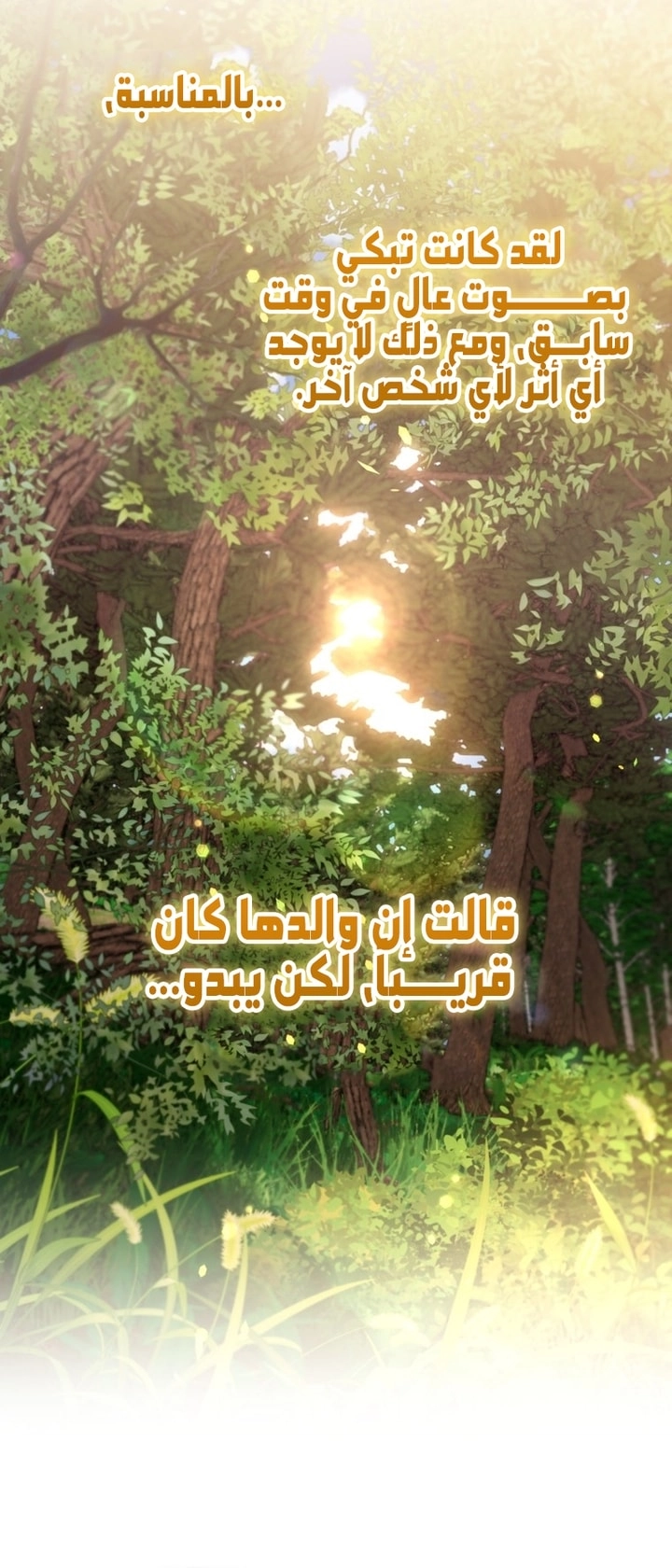 الصفحة 28