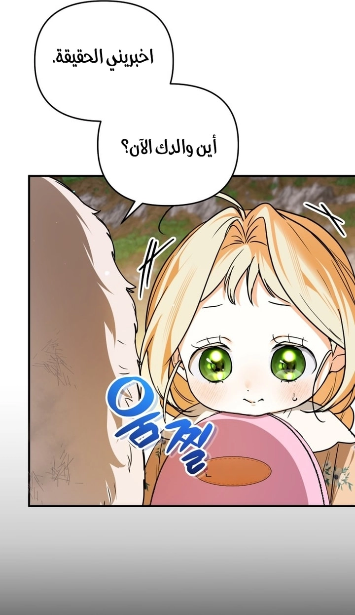 الصفحة 29