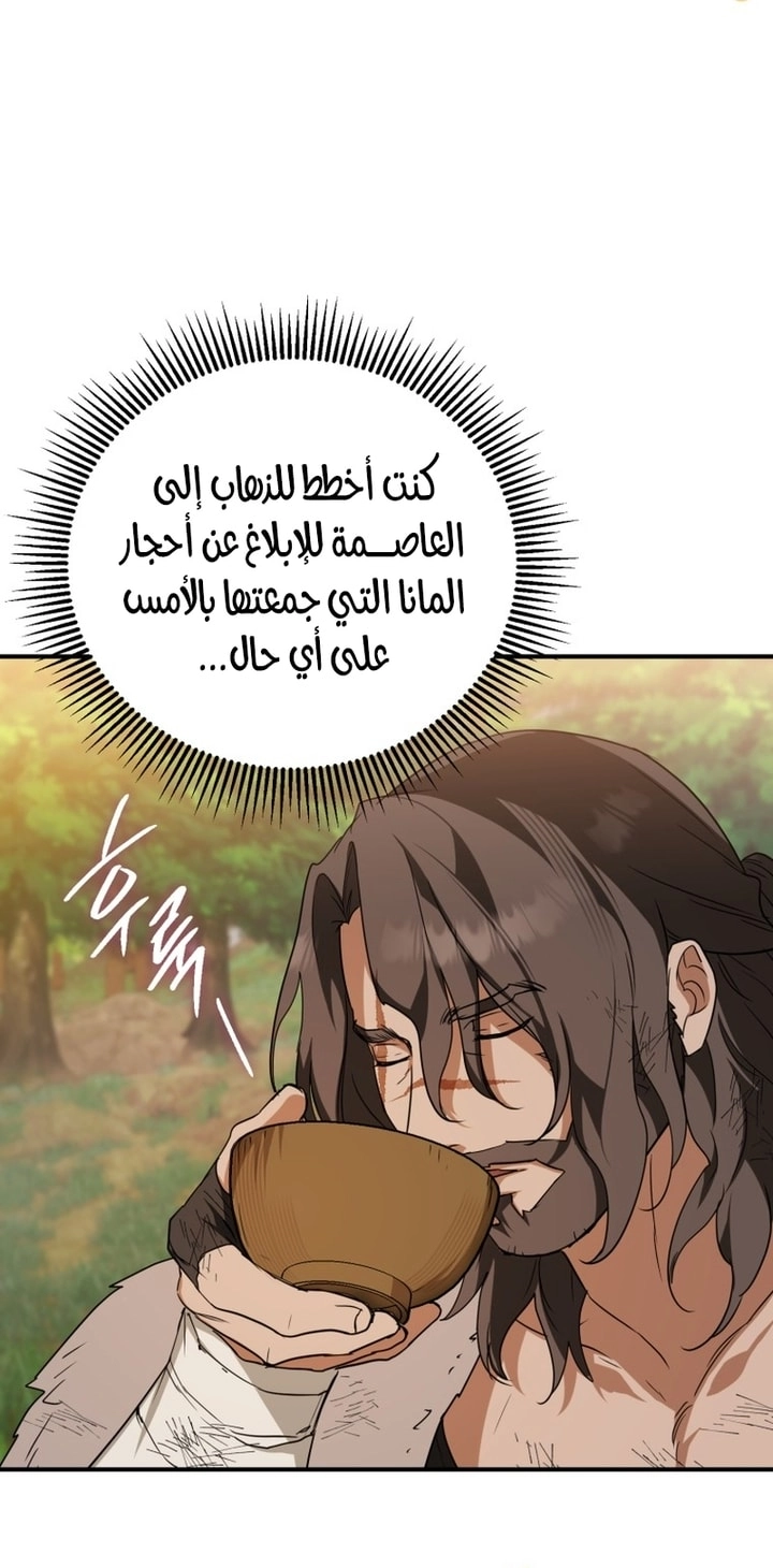 الصفحة 43
