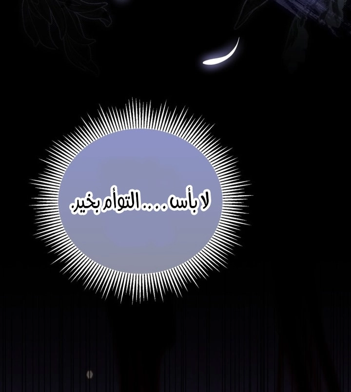 الصفحة 23