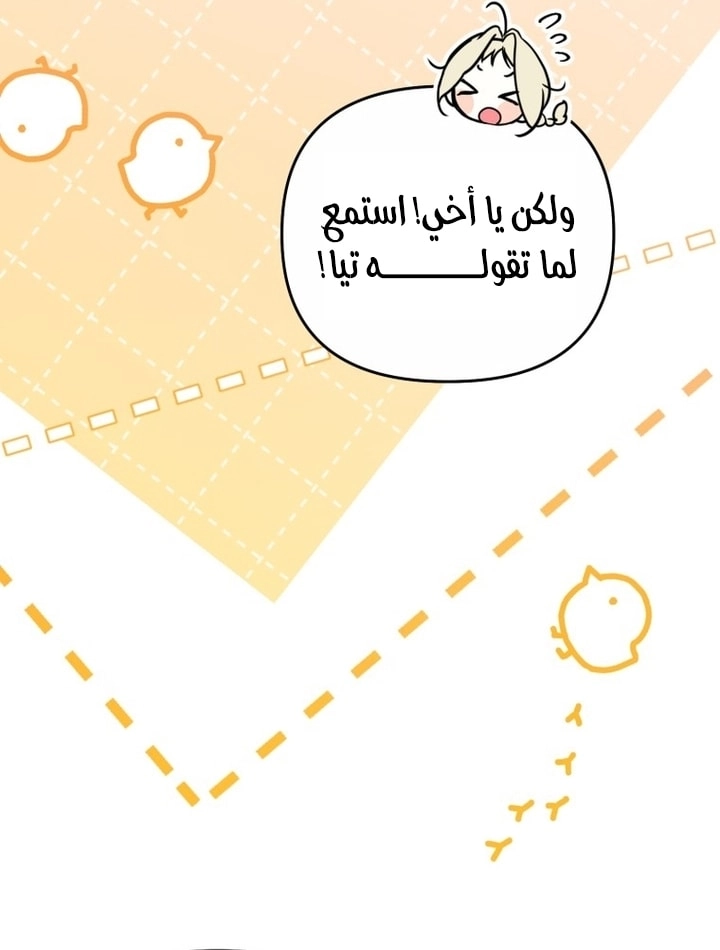 الصفحة 38