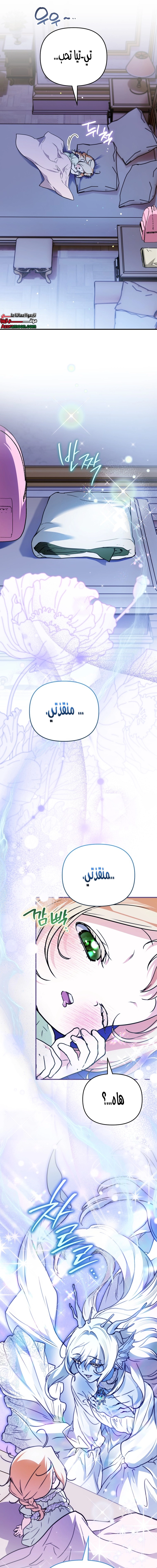 الصفحة 24