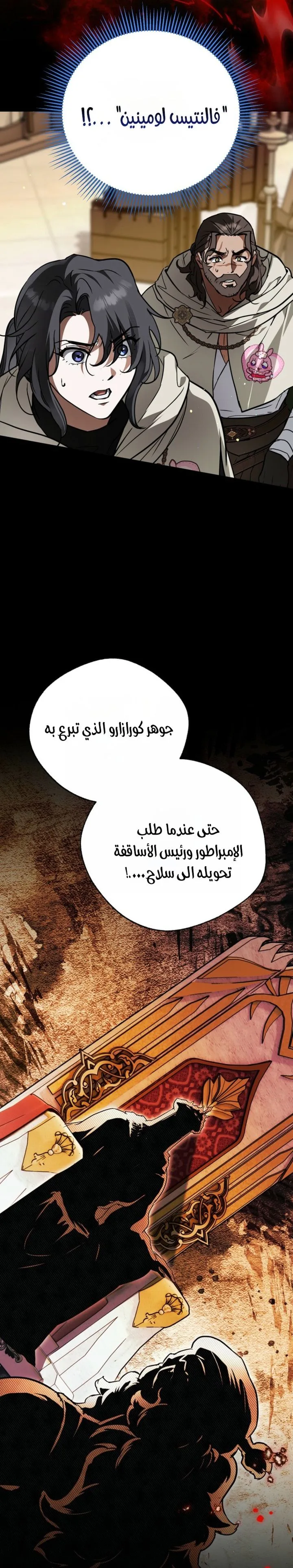 الصفحة 17