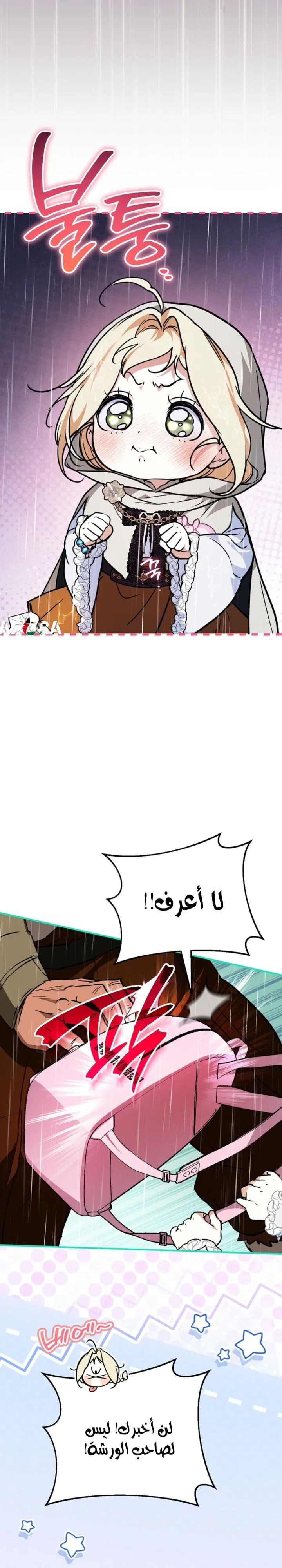 الصفحة 34