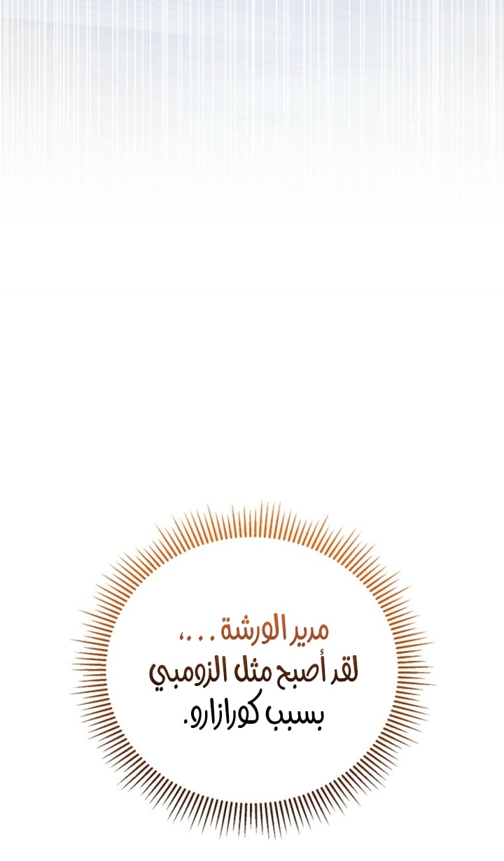 الصفحة 29