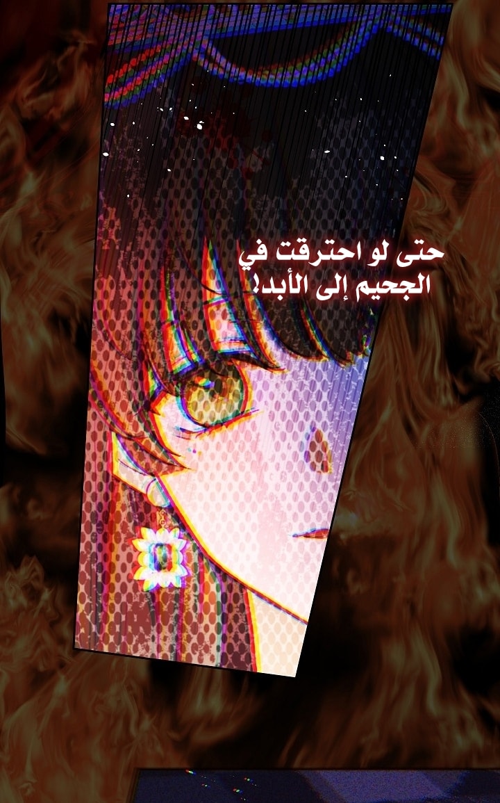 الصفحة 133