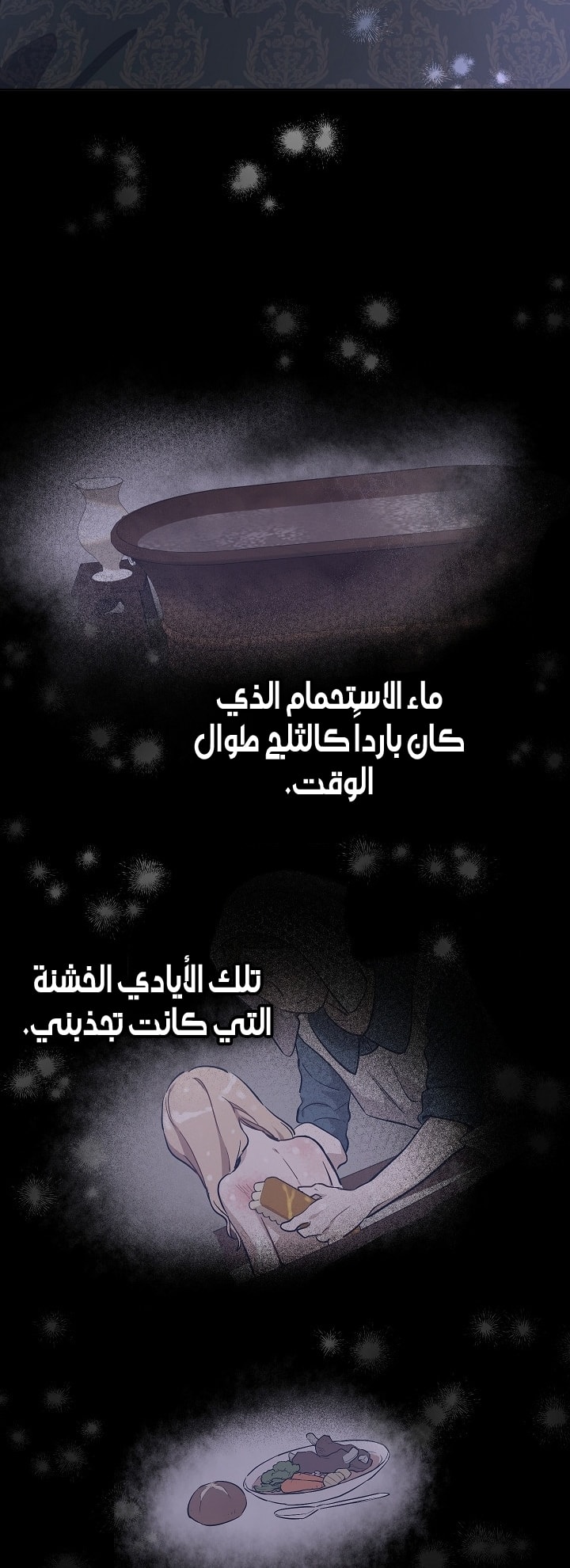 الصفحة 17