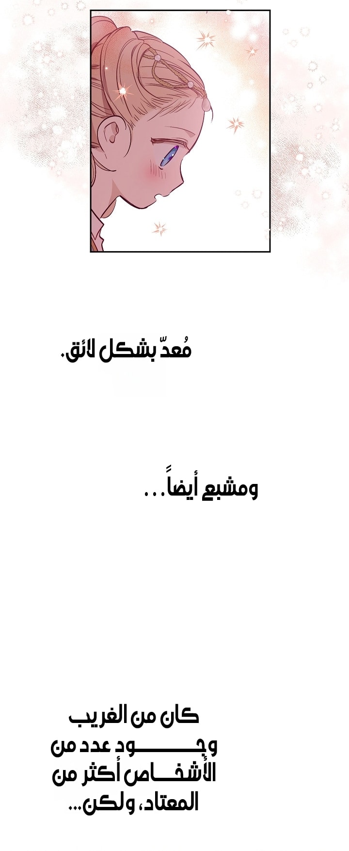 الصفحة 28