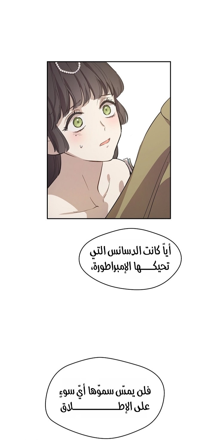 الصفحة 31
