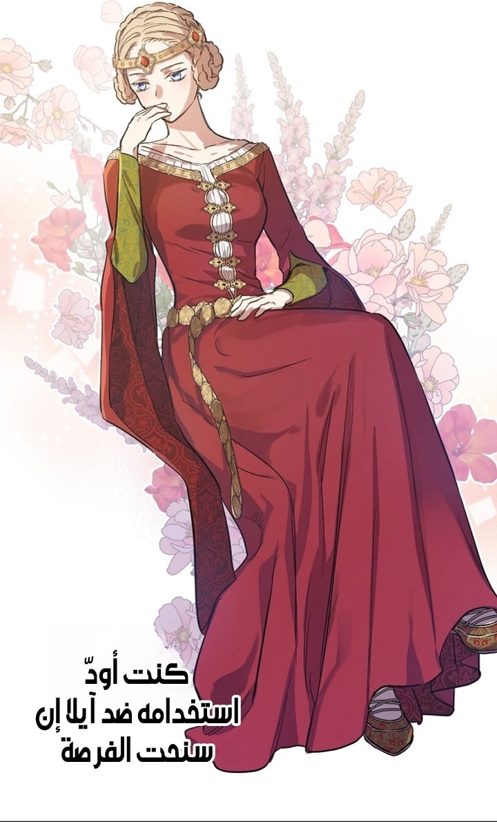 الصفحة 40