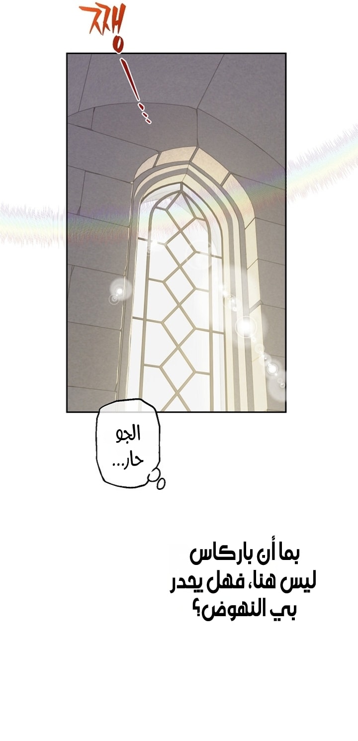 الصفحة 42