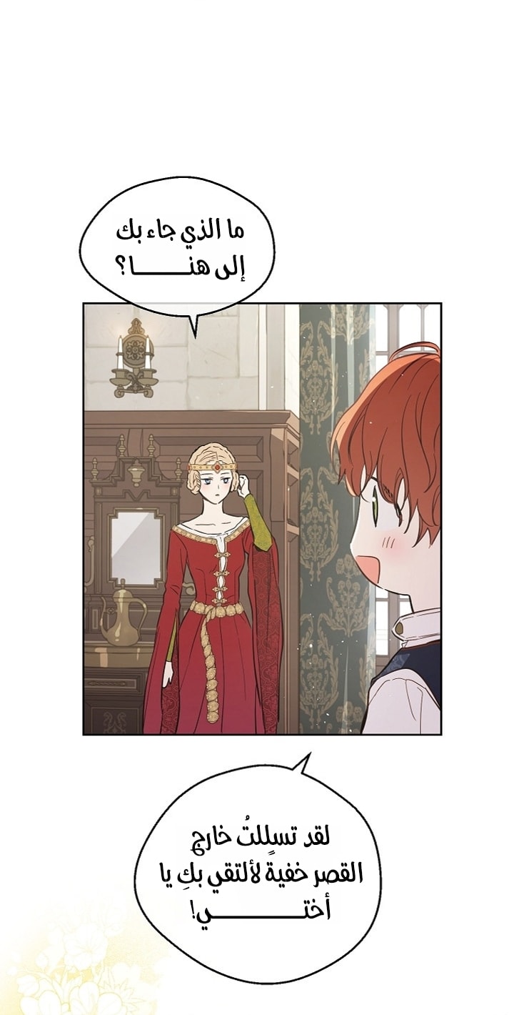 الصفحة 45