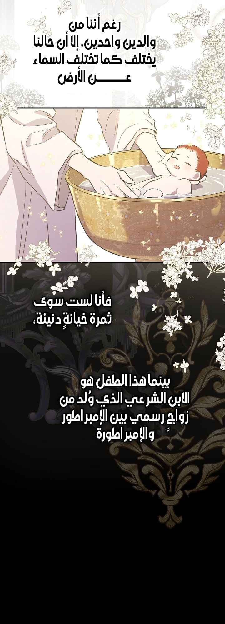 الصفحة 47