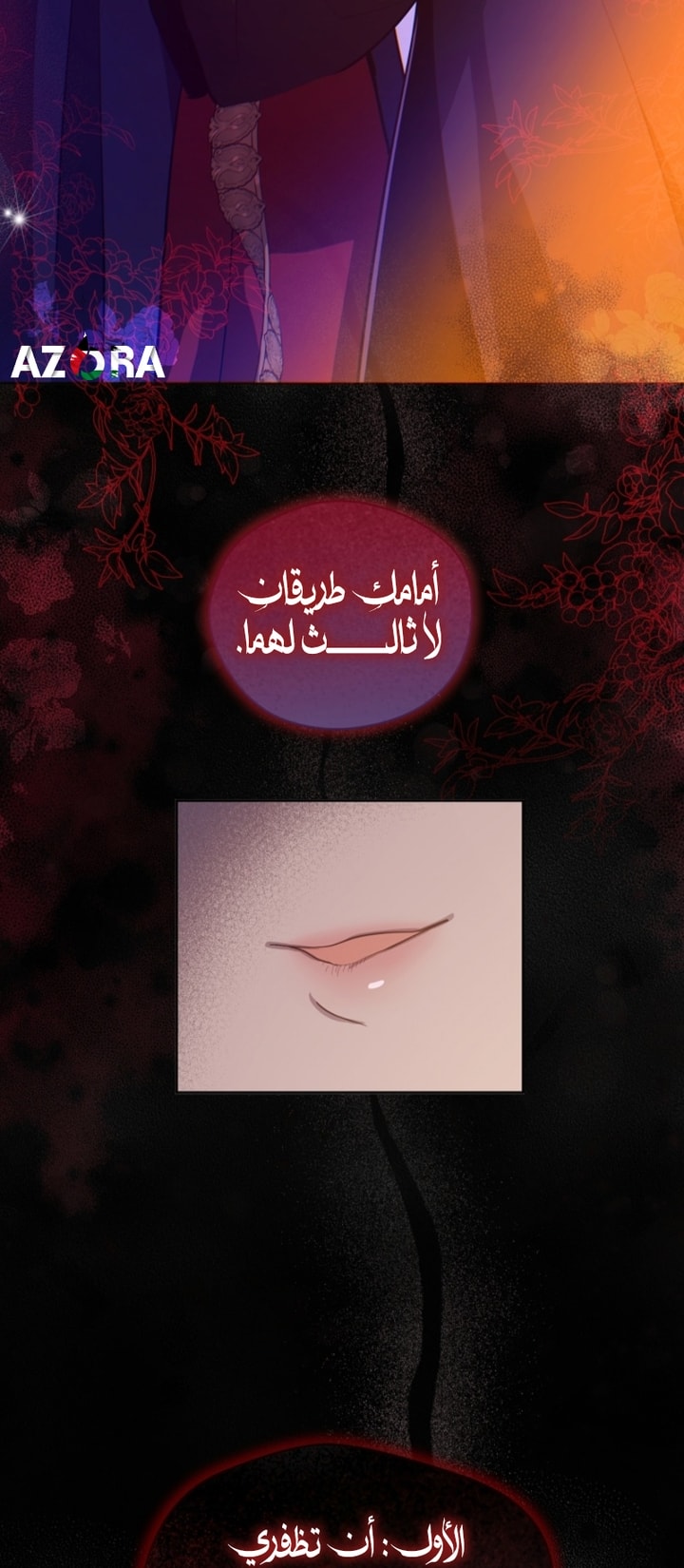الصفحة 28