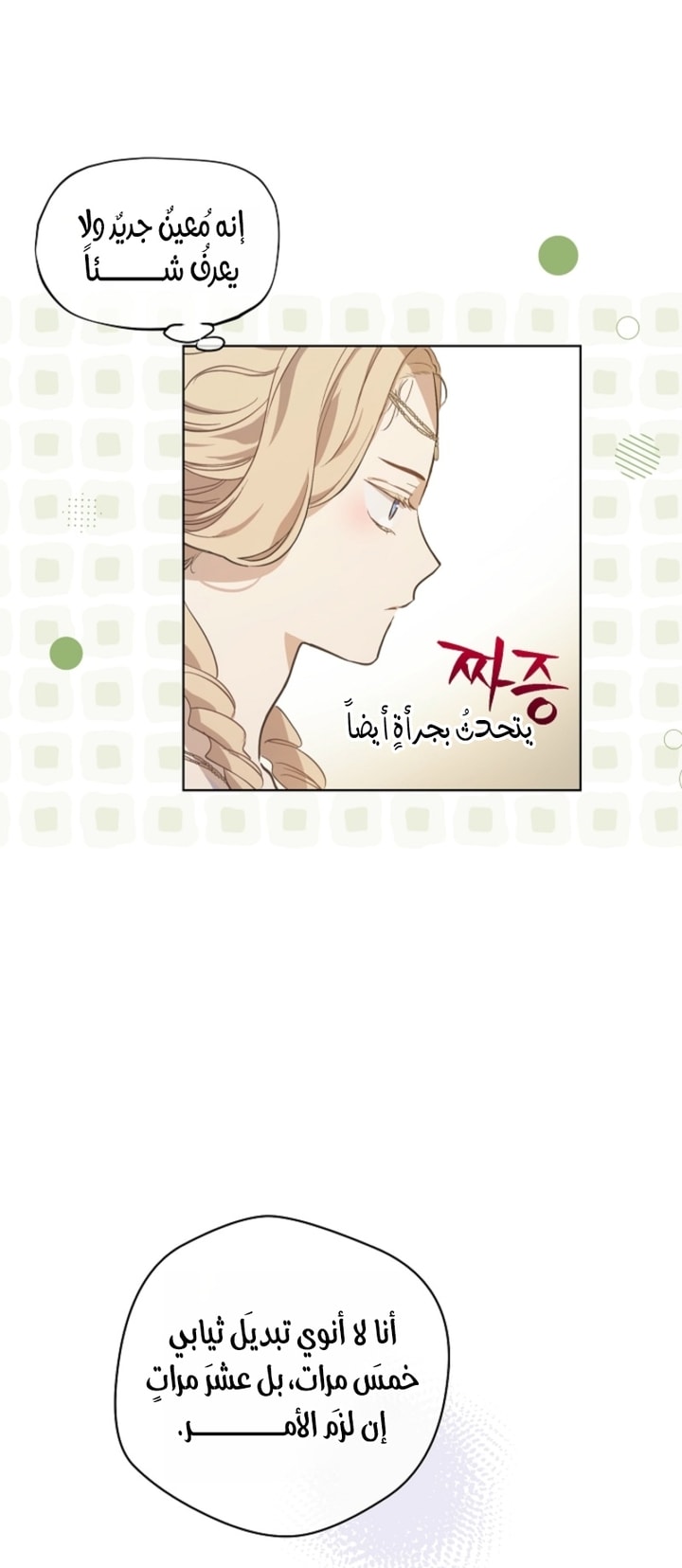 الصفحة 39