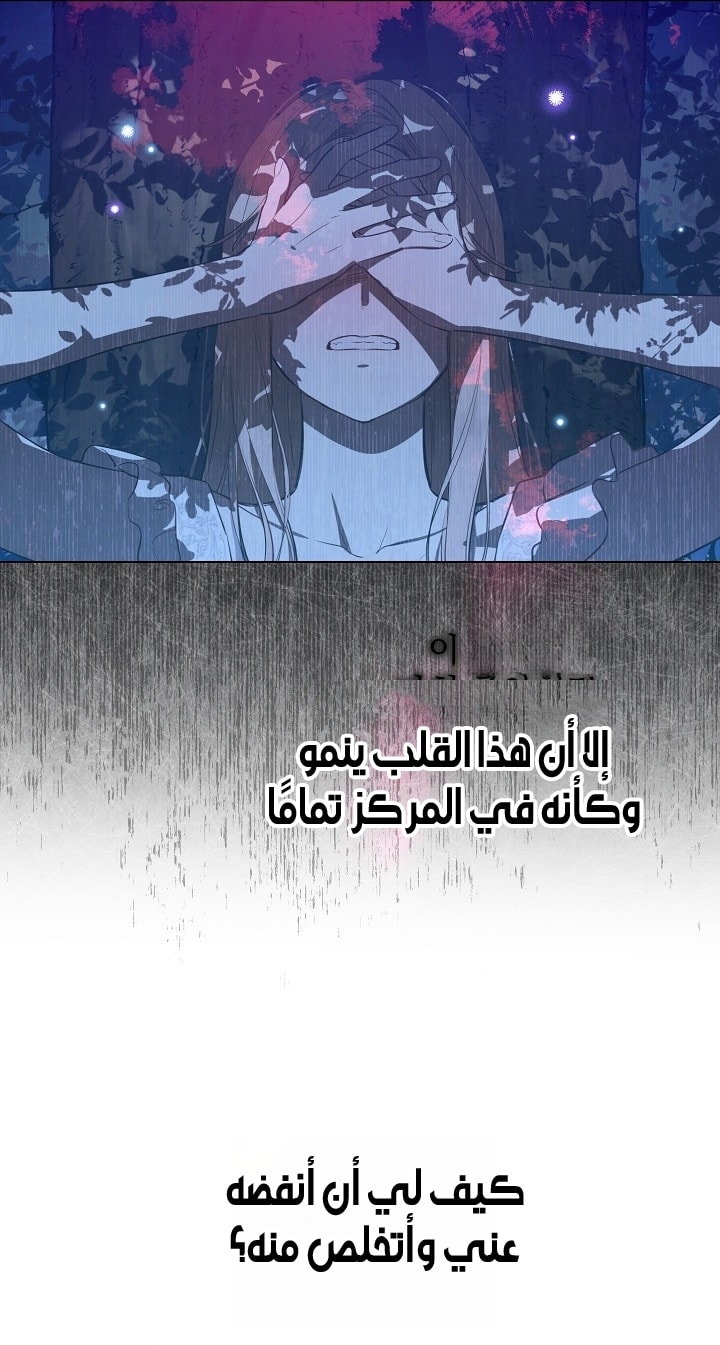 الصفحة 24