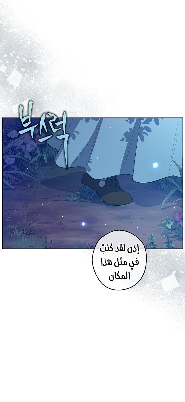 الصفحة 26