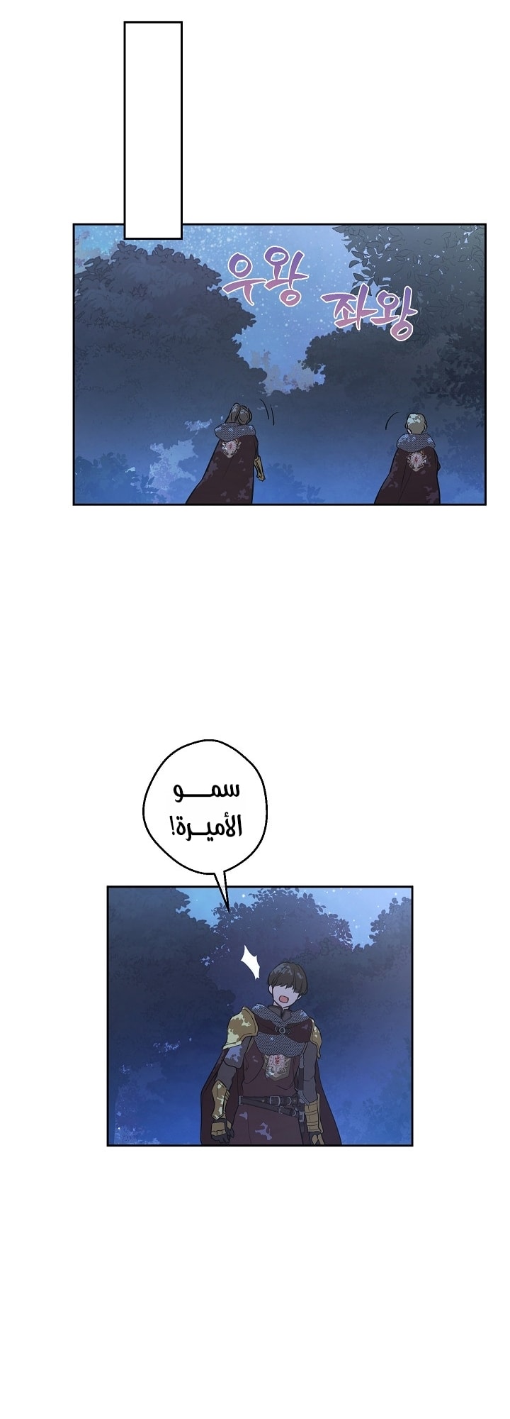 الصفحة 48