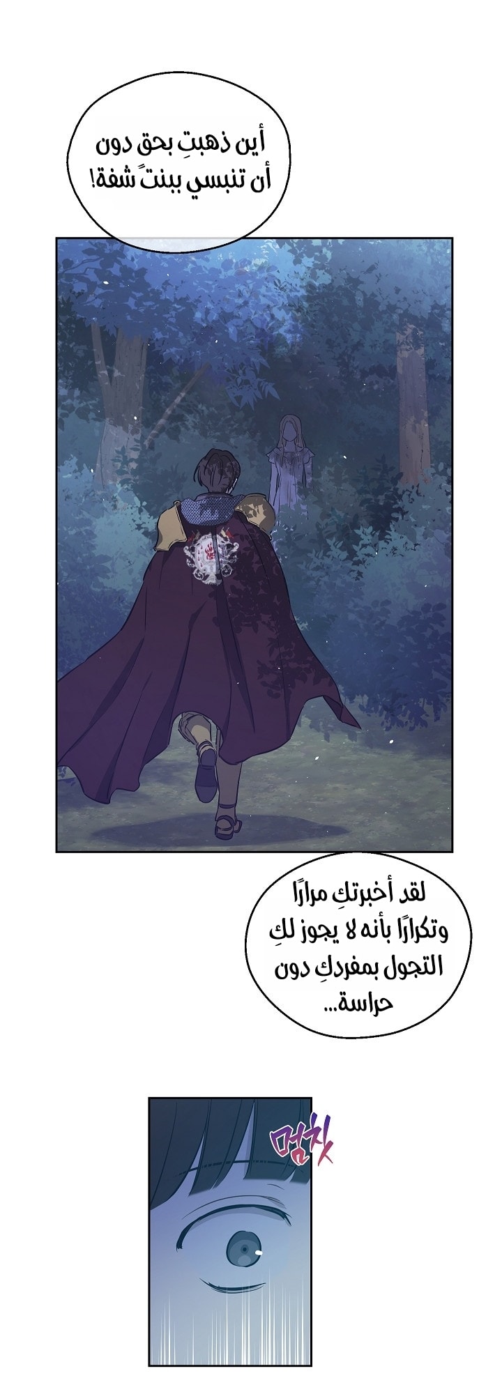 الصفحة 49
